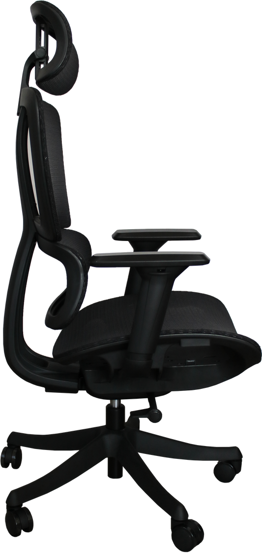 Silla Directiva Torino Ng