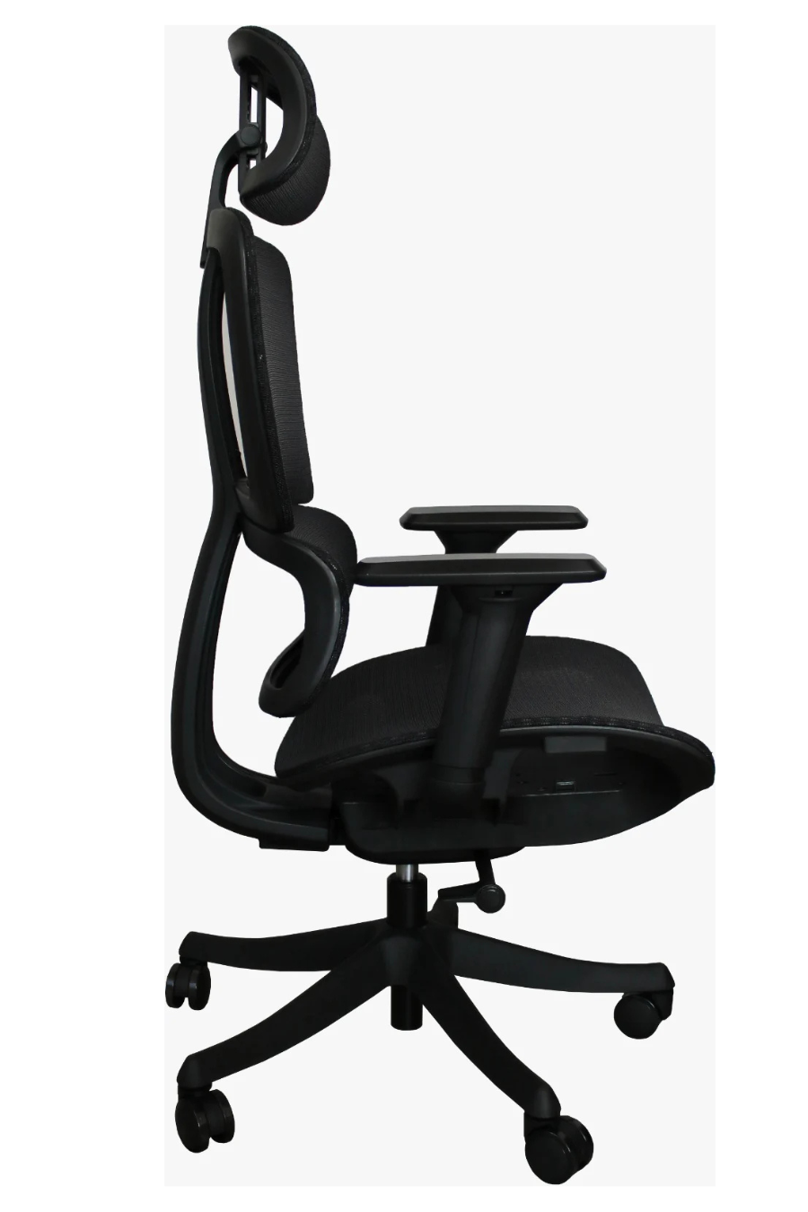 Silla Directiva Torino Ng